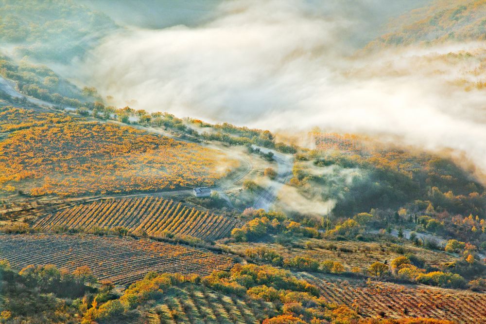 Утро осеннее...