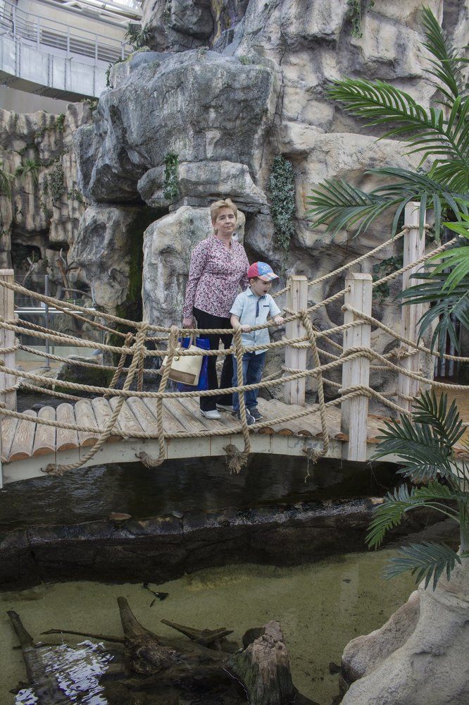 Photograph by Светлана