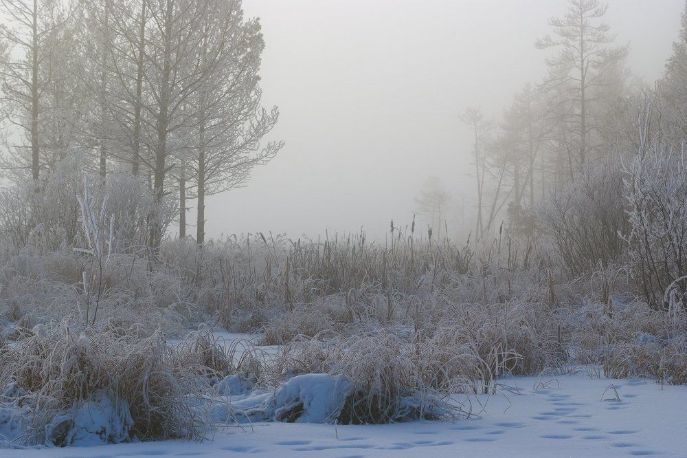 Недосказанность