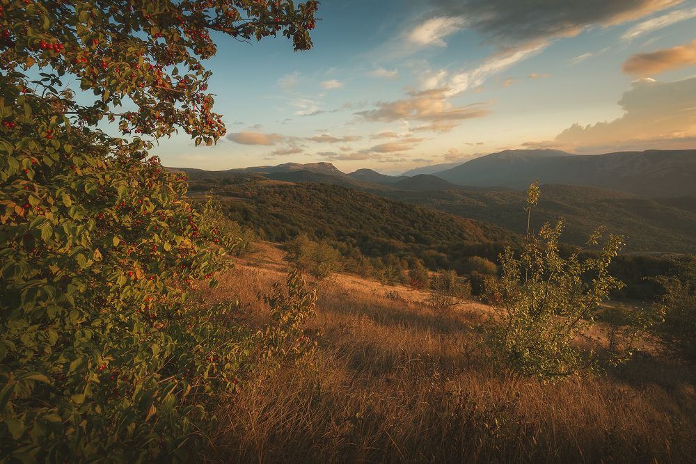 Закат в кизиловой роще, Долгоруковская яйла.