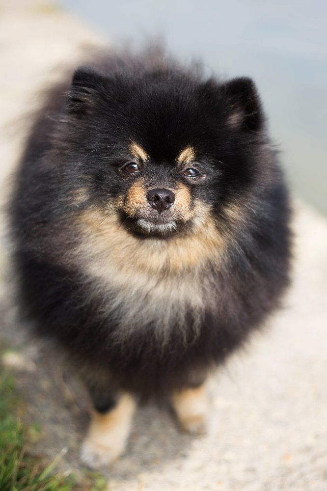 Photograph by Катерина