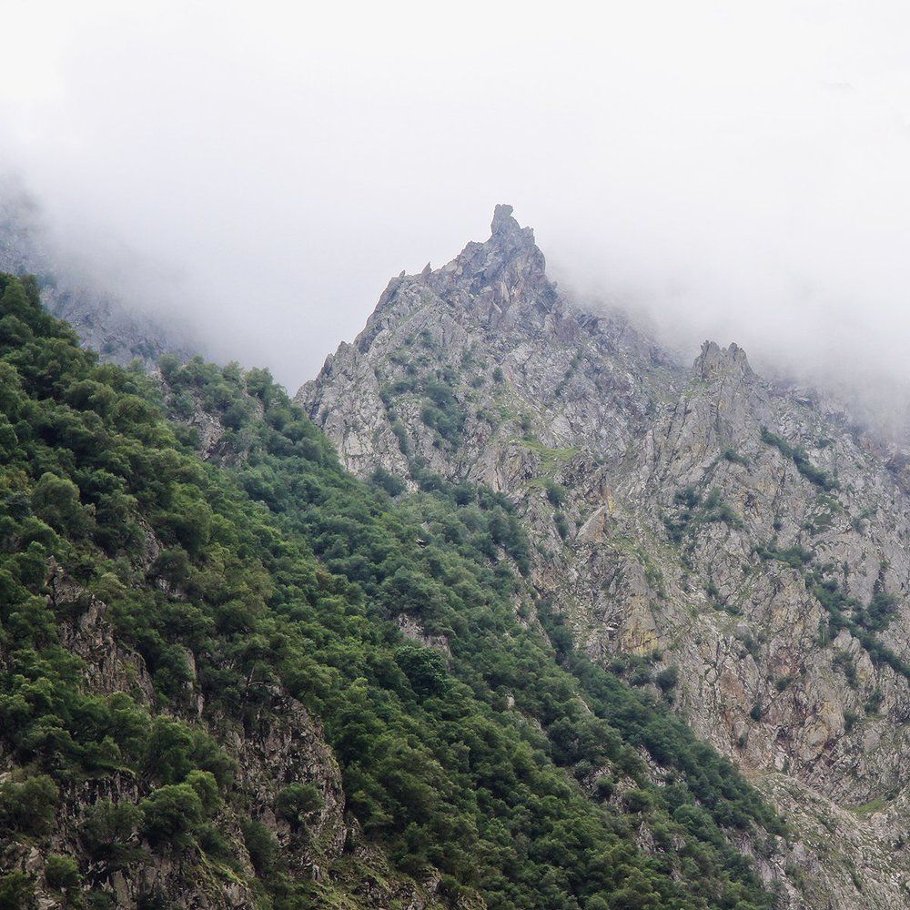 В объятиях тумана