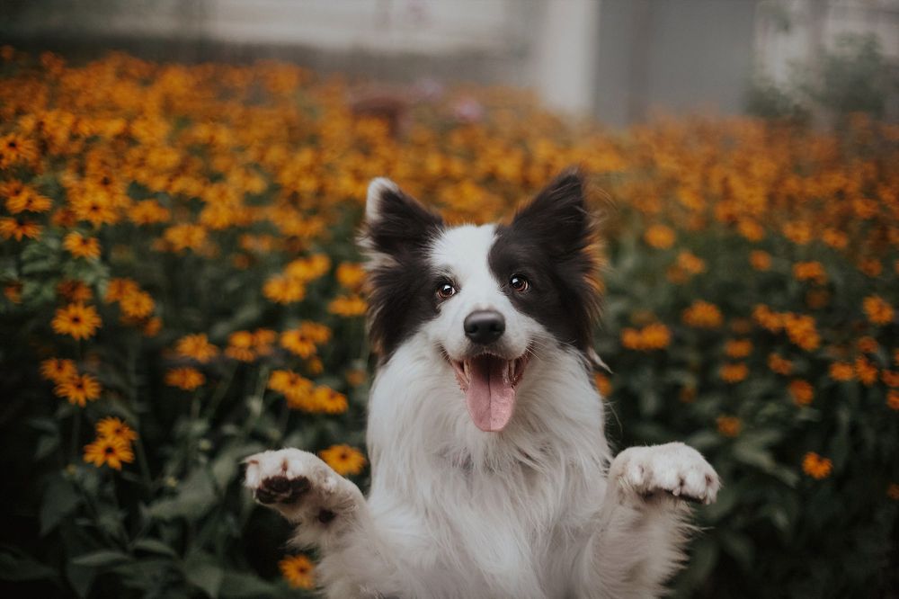 Photograph by Анна