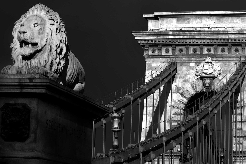 Lion protecting the bridge
