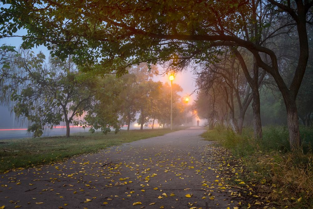 Утро в тумане