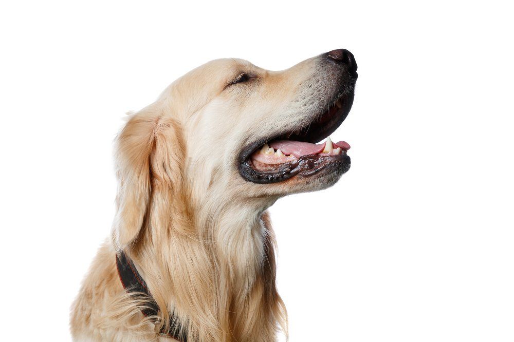 Photograph by Ильяс Бекмансуров