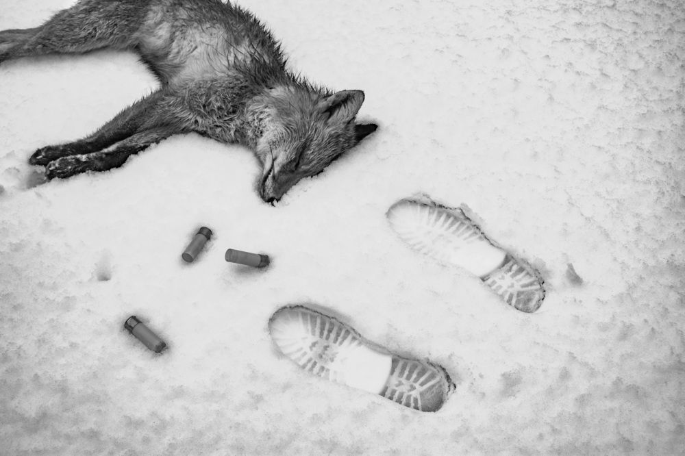 Photograph by Рогова Наталья