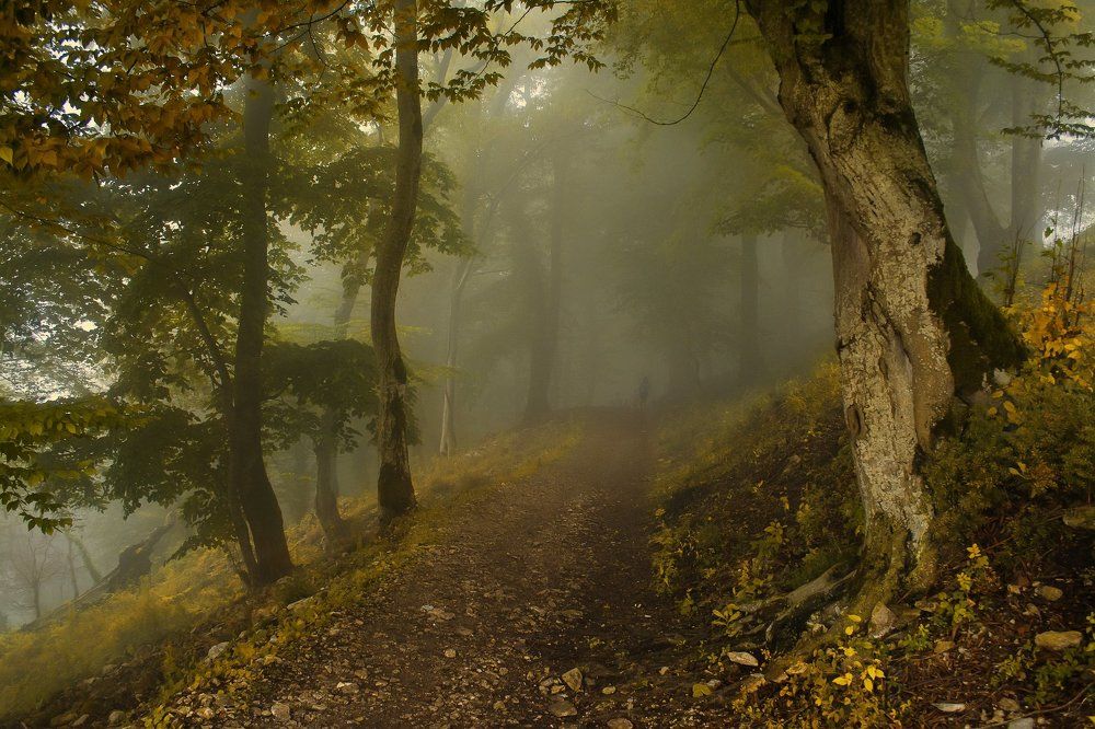 Photograph by Павлова Анастасия