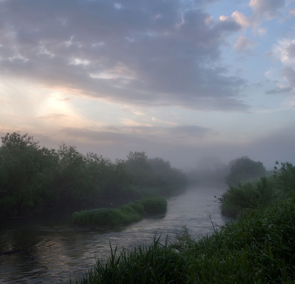 Туман над рекой