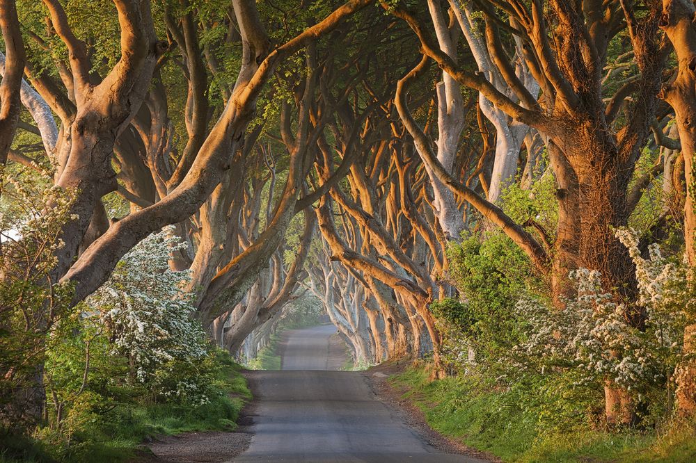 Photograph by Дмитрий Симбаев