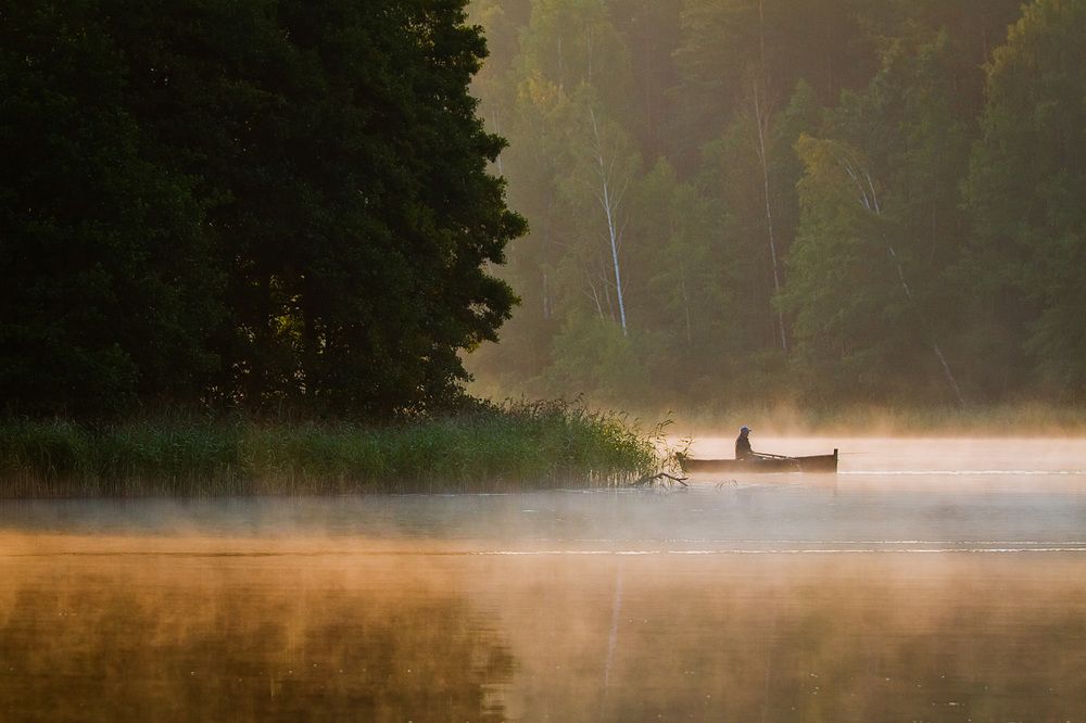 Пробираясь сквозь пелену тумана.