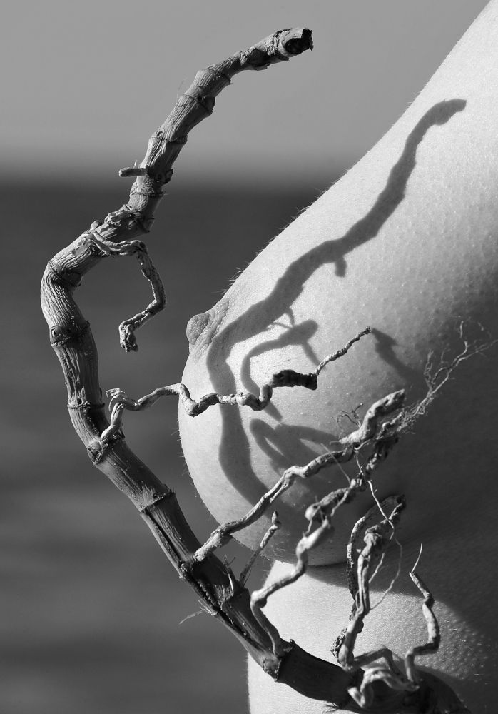 Параллельные кривые 2