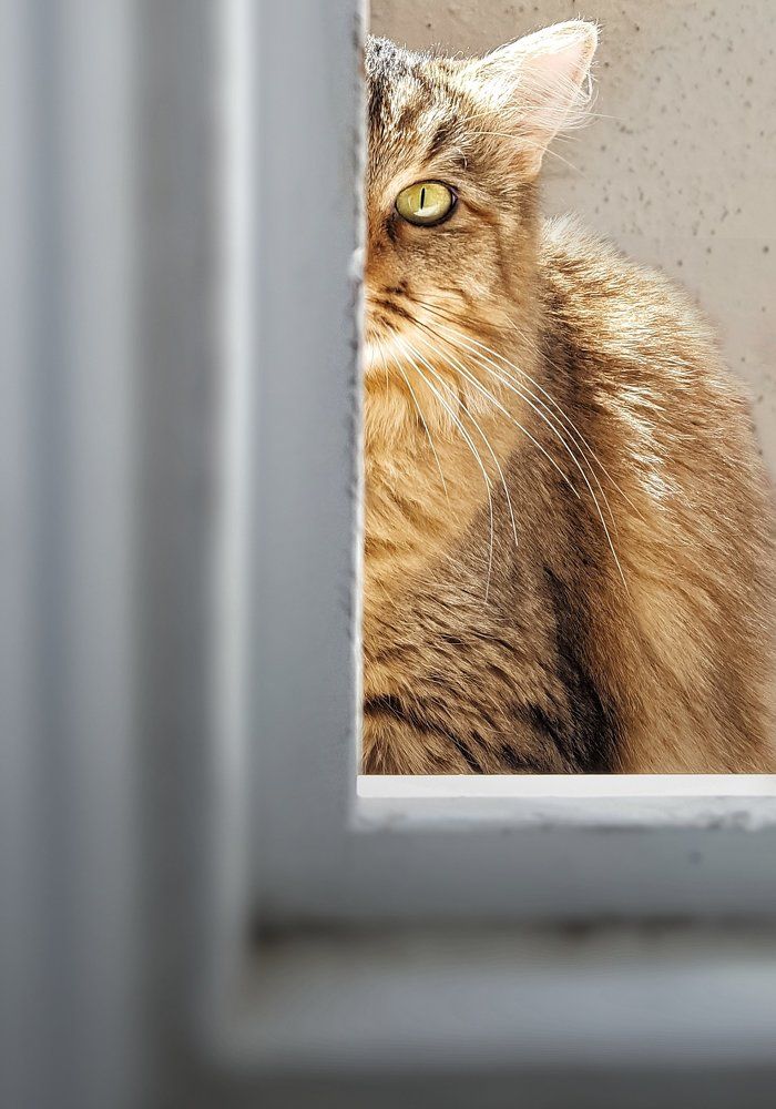 Photograph by Татьяна Пименкова