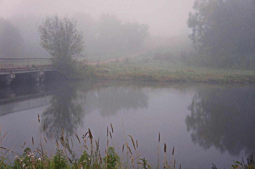 Местный пейзаж.