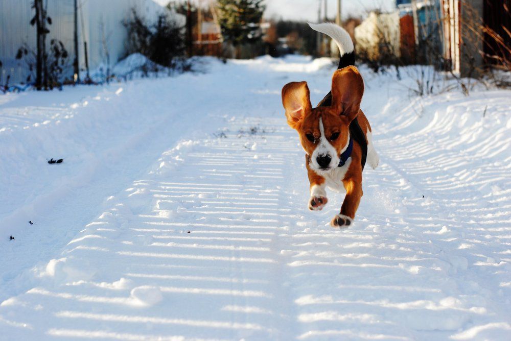 Photograph by Christina Panteleeva