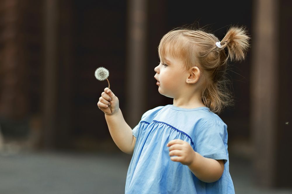 "Одуванчик"