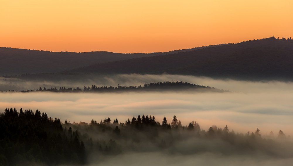 Утро в Карпатах