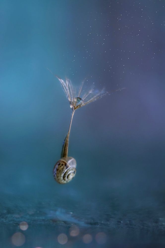 Рожденный ползать