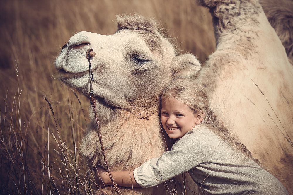 девочка и верблюд