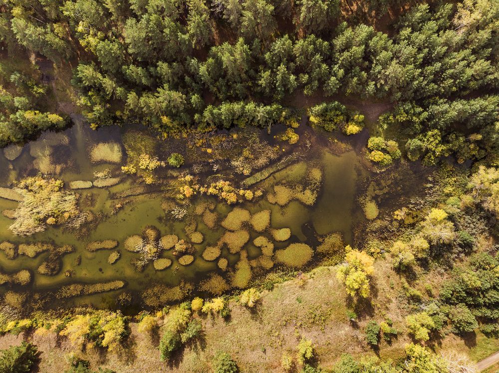 Инопланетный вид с планеты Земля