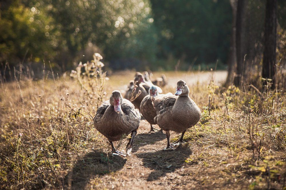 Photograph by Алёна Останкова