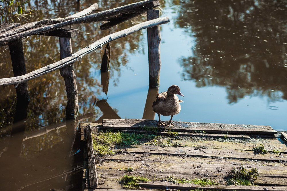 Photograph by Алёна Останкова