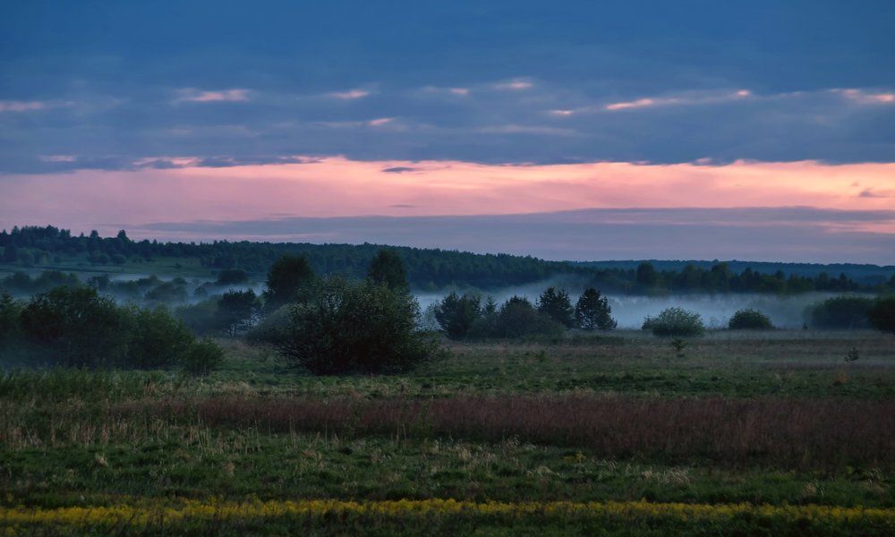 Утро туманное