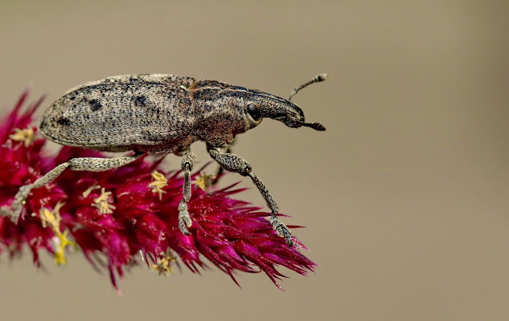 Photograph by Игорь Осипов