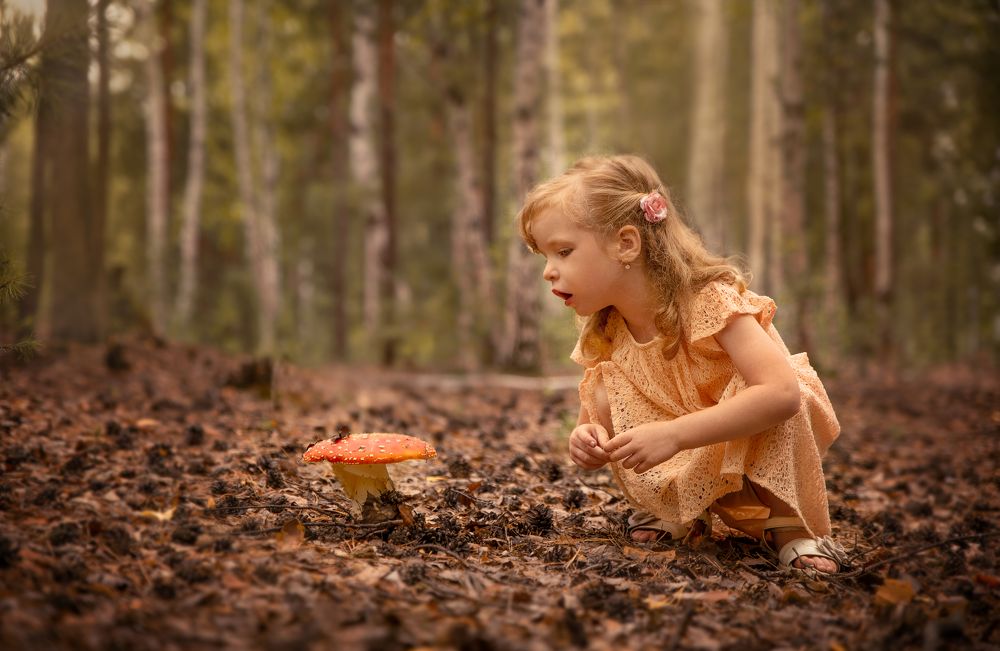 Волшебный лес