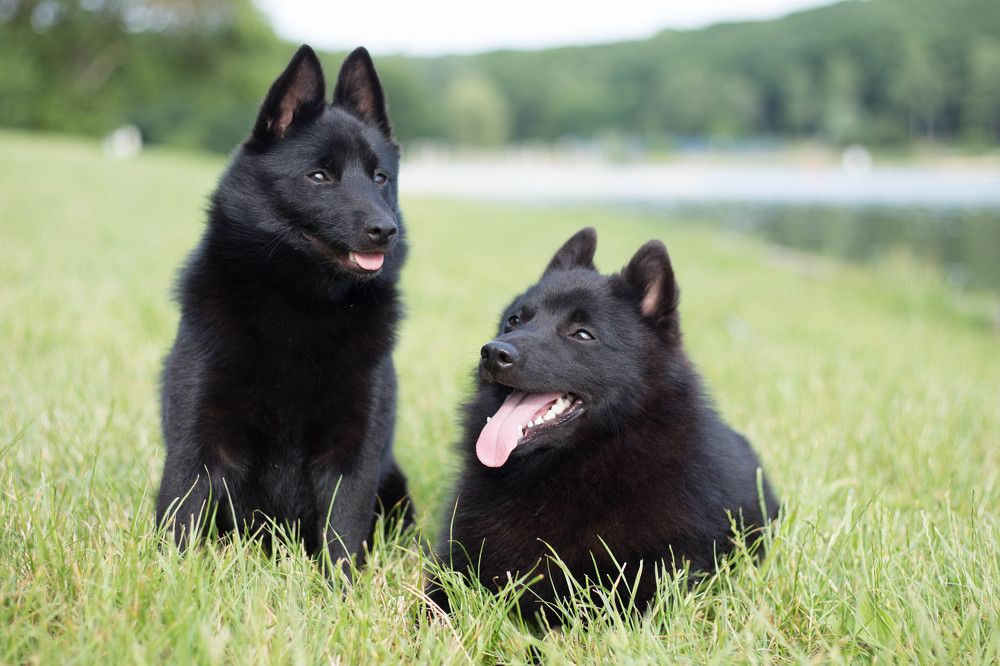 Photograph by Катерина