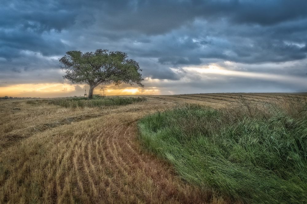 Первый покос...