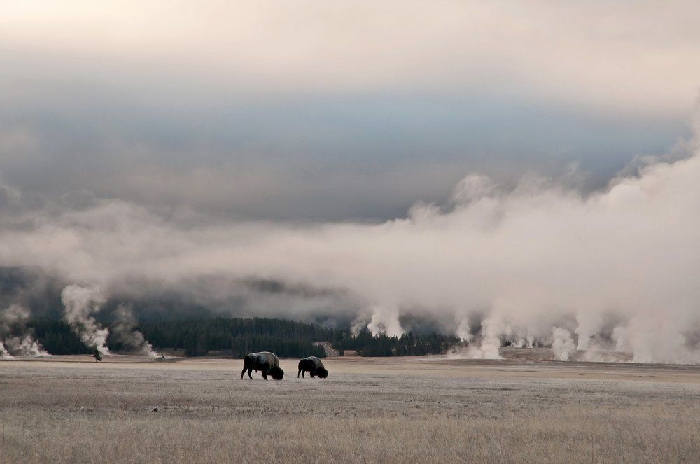 Prehistorical landscape