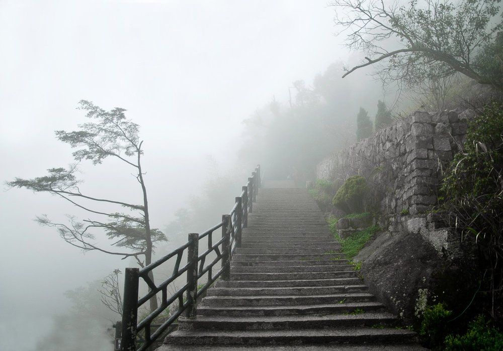 Stairs to the fog