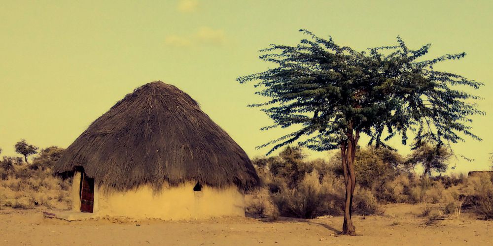 Thar Desert