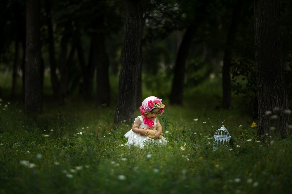 Сказочный лес