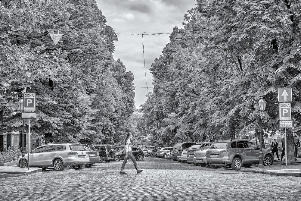 Photograph by Галина Нечипорук