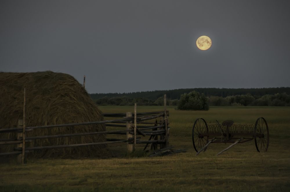 Полнолуние