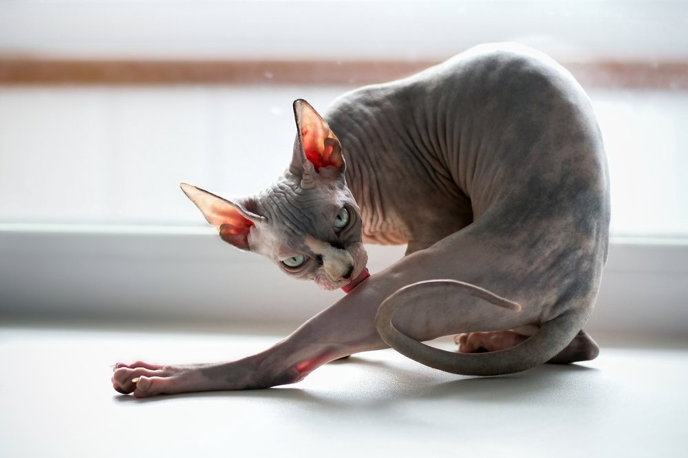 Страшно красива