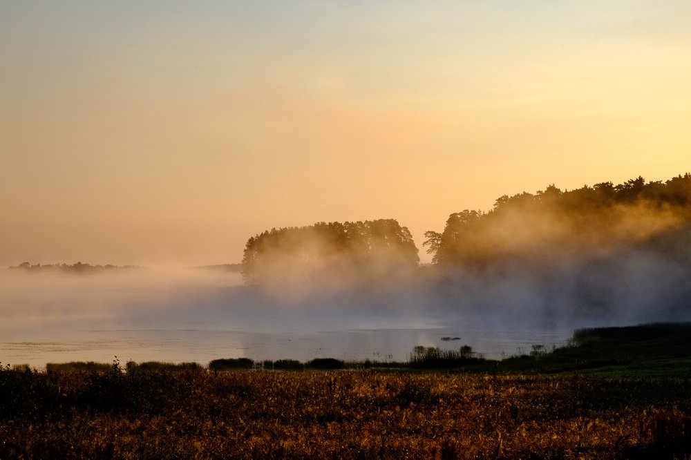 Утренний туман