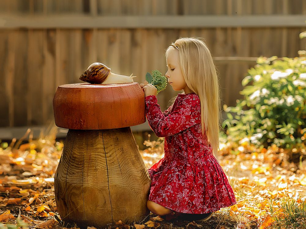 Друзья по возрасту