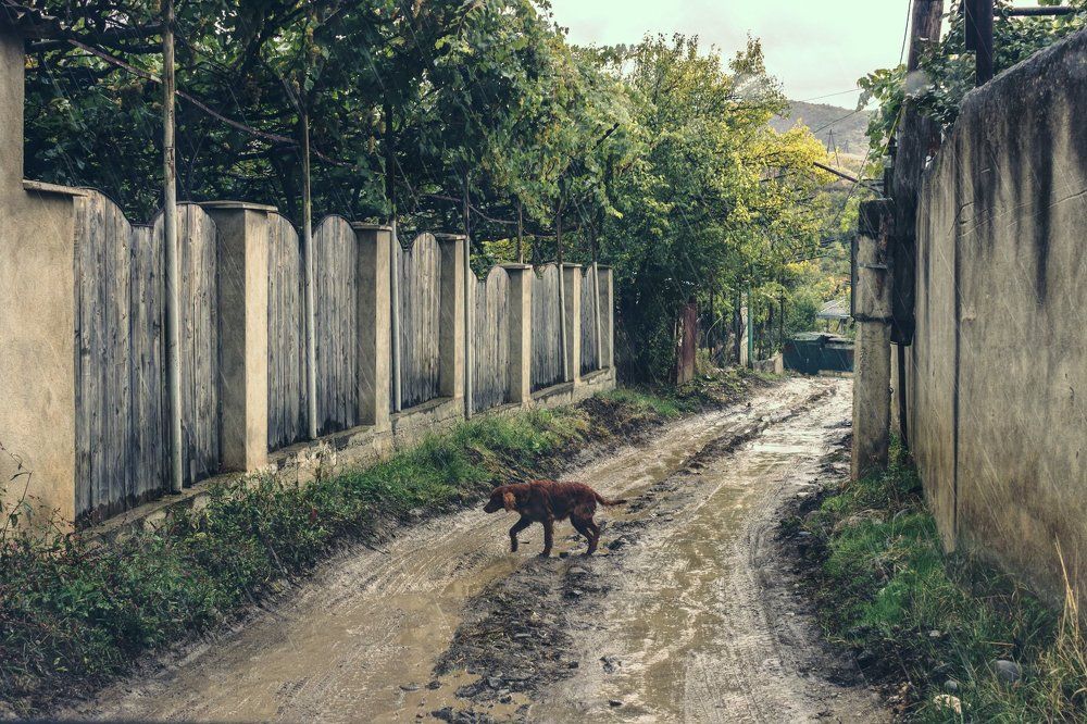 Спешу домой.