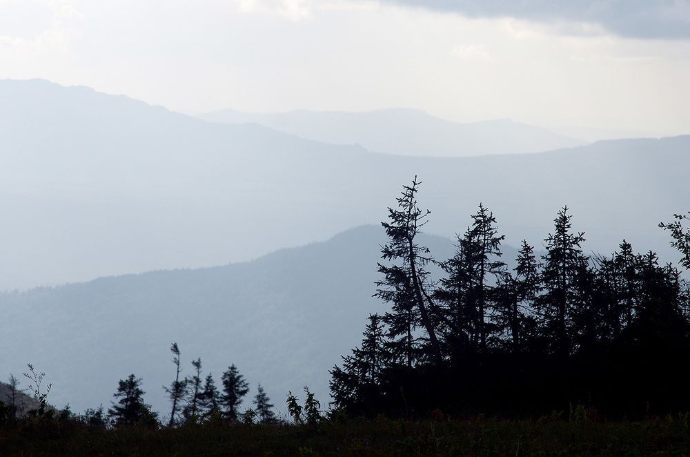 Уральская Тишь.