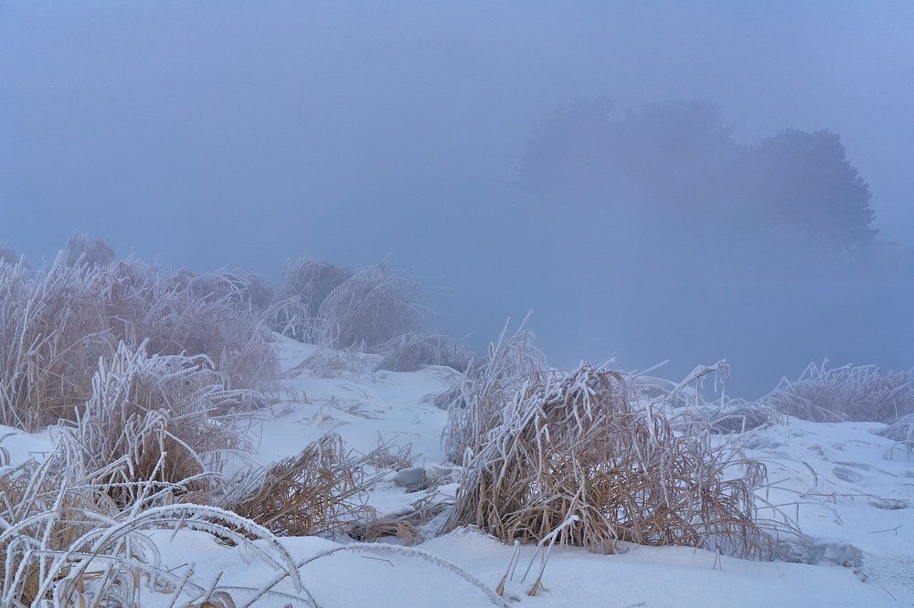 Зимний туман