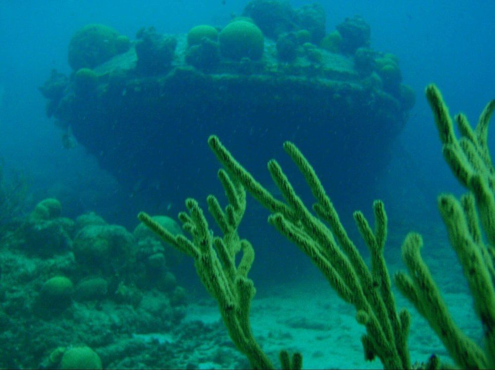 Ship wrecked  and coral in the sea.