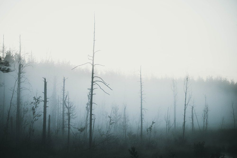 синий туман