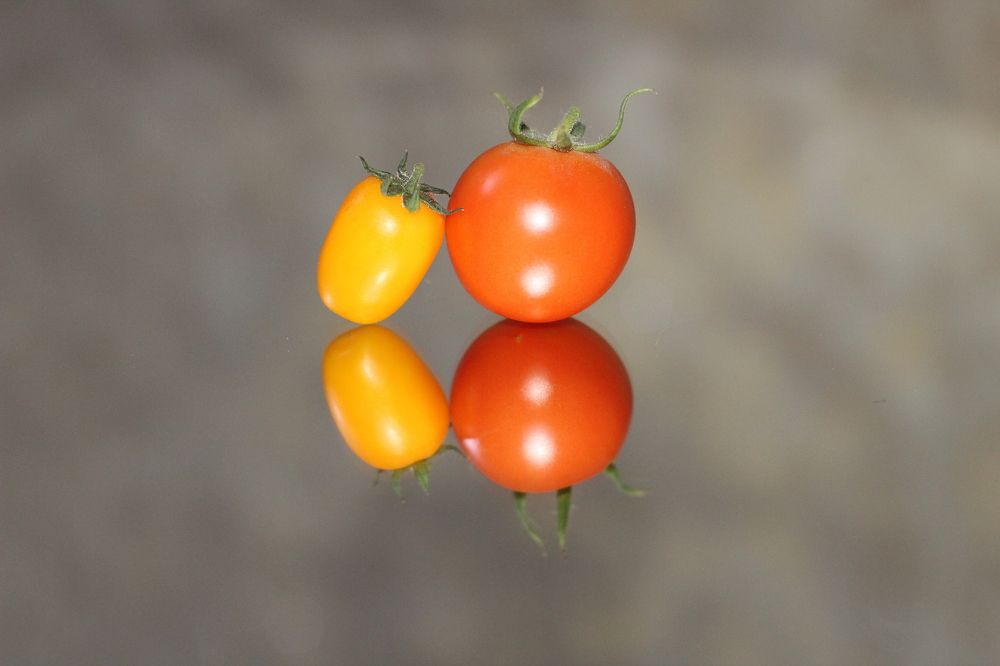 Photograph by Мари Глинская