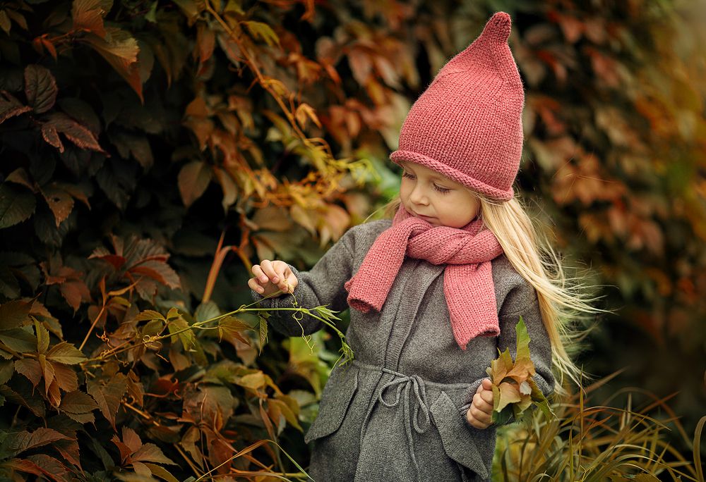 Краски осени