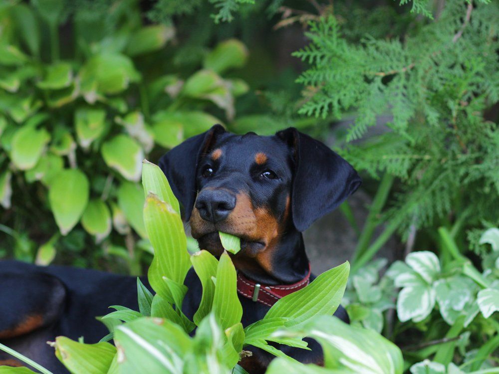 Очаровательная Этика