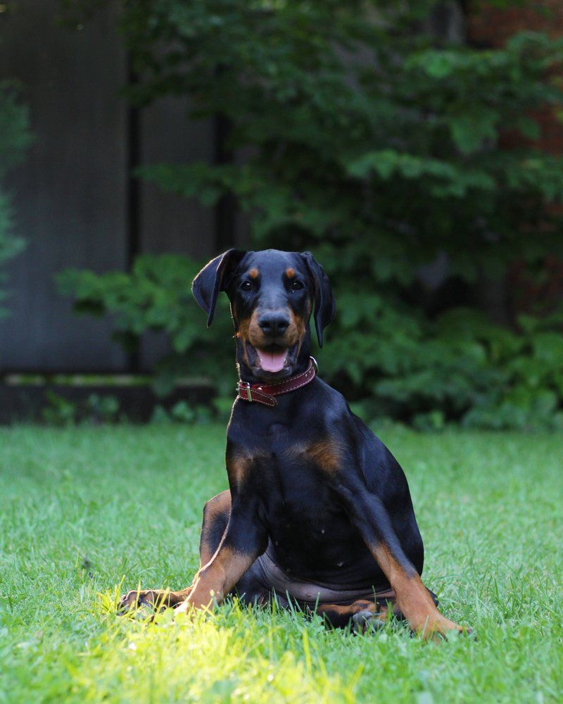 Очаровательная малышка Этика