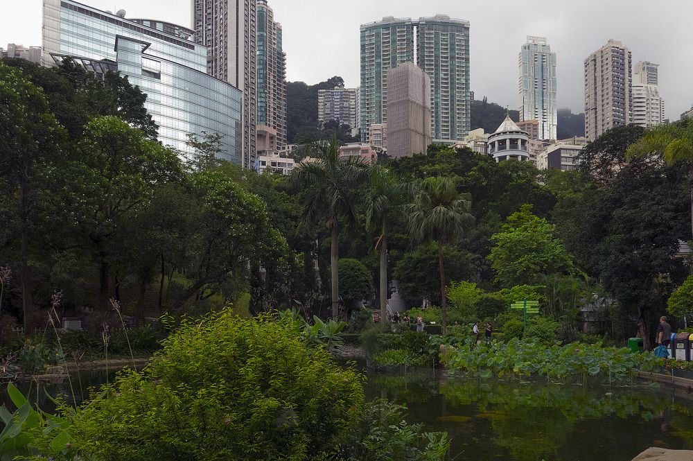 В парке Гонконг